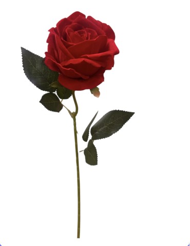 Rosa, de 45 cm