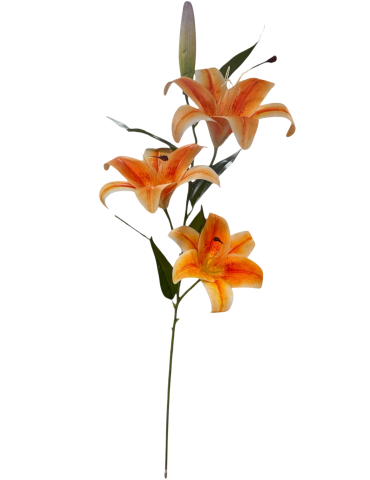 Lilium 98 cm